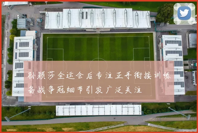 孙颖莎全运会后专注正手衔接训练备战争冠细节引发广泛关注